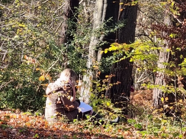 Reflections on Words in the Woods