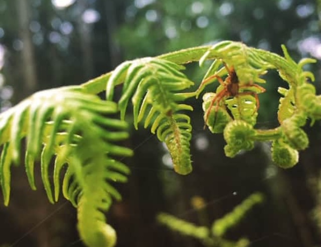 Young Carers Summer Activities